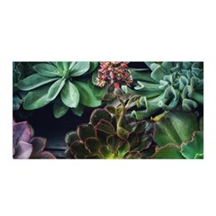 Succulents Satin Wrap by okhismakingart