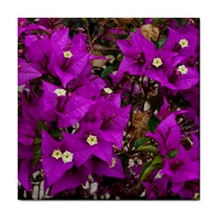 Bougainvillea  Tile Coasters by okhismakingart