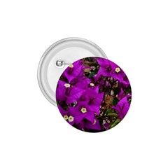 Bougainvillea  1 75  Buttons by okhismakingart