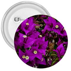 Bougainvillea  3  Buttons by okhismakingart