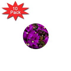 Bougainvillea  1  Mini Magnet (10 Pack)  by okhismakingart