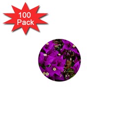 Bougainvillea  1  Mini Buttons (100 Pack)  by okhismakingart