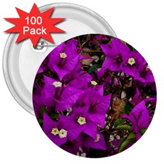 Bougainvillea  3  Buttons (100 Pack)  by okhismakingart