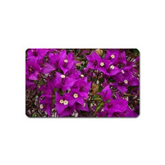 Bougainvillea  Magnet (name Card) by okhismakingart