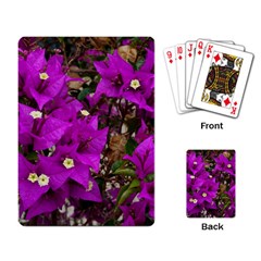 Bougainvillea  Playing Cards Single Design by okhismakingart