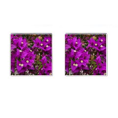 Bougainvillea  Cufflinks (square) by okhismakingart