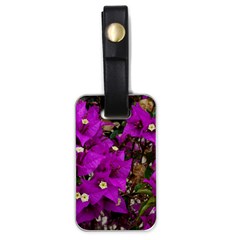 Bougainvillea  Luggage Tags (one Side)  by okhismakingart