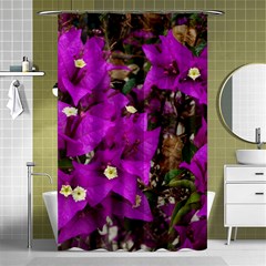 Bougainvillea  Shower Curtain 48  X 72  (small)  by okhismakingart