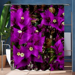 Bougainvillea  Shower Curtain 60  X 72  (medium)  by okhismakingart