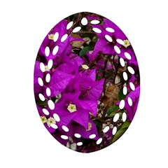 Bougainvillea  Oval Filigree Ornament (two Sides) by okhismakingart