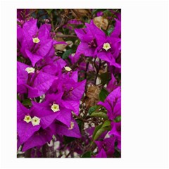 Bougainvillea  Large Garden Flag (two Sides) by okhismakingart