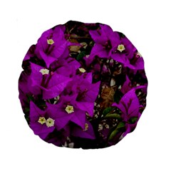 Bougainvillea  Standard 15  Premium Round Cushions