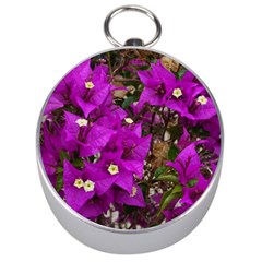 Bougainvillea  Silver Compasses by okhismakingart