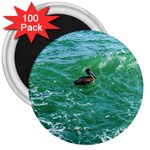 Waterbird  3  Magnets (100 pack) Front