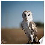 Owl portrait Canvas 20  x 20  (Unframed) 19 x19.27  Canvas - 1