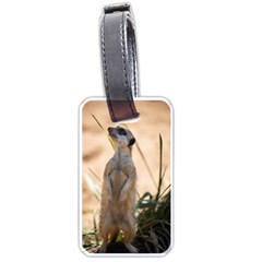 Meercat Luggage Tags (one Side)  by Cbth