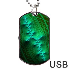 Fractal Maths Design Backdrop Dog Tag Usb Flash (one Side) by Pakrebo