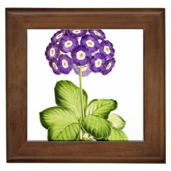 Primrose - Vintage Framed Tiles by WensdaiAmbrose