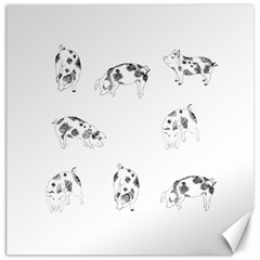 Pig Pattern Hand Drawn With Funny Cow Spots Black And White Canvas 12  X 12  by genx