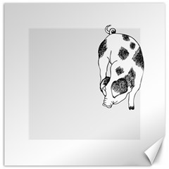 Pig Sniffing Hand Drawn With Funny Cow Spots Black And White Canvas 16  X 16  by genx