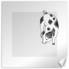 Pig Sniffing Hand Drawn With Funny Cow Spots Black And White Canvas 20  X 20  by genx