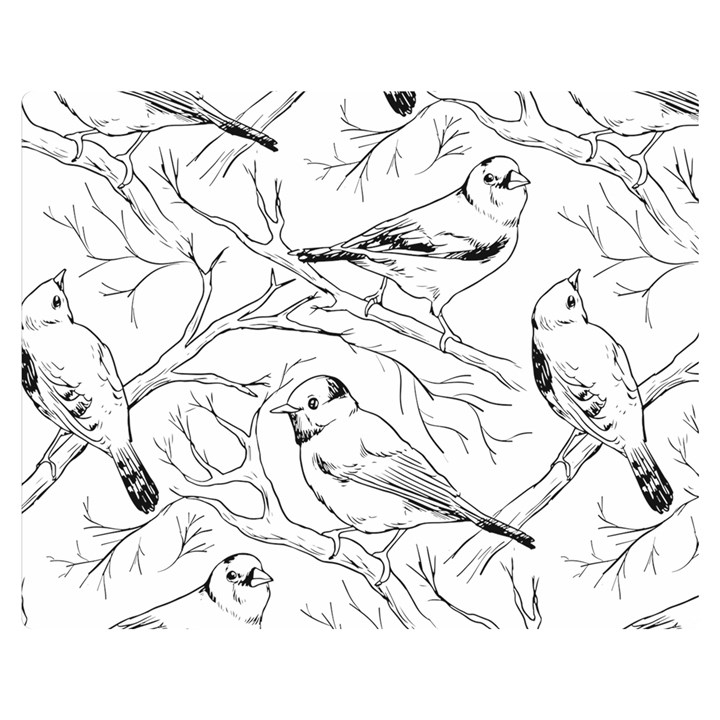 Birds Hand drawn Outline Black And White Vintage ink Double Sided Flano Blanket (Medium) 