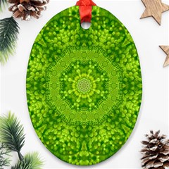 Spring Flower Joy Ornament (oval) by pepitasart