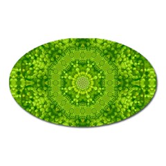 Spring Flower Joy Oval Magnet by pepitasart