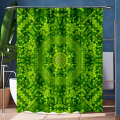 Spring Flower Joy Shower Curtain 60  X 72  (medium)  by pepitasart