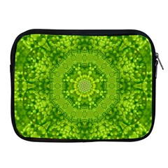 Spring Flower Joy Apple Ipad 2/3/4 Zipper Cases by pepitasart