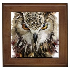 Vector Hand Painted Owl Framed Tiles by Sudhe