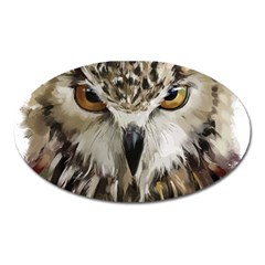 Vector Hand Painted Owl Oval Magnet by Sudhe