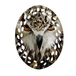 Vector Hand Painted Owl Ornament (Oval Filigree) Front