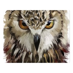 Vector Hand Painted Owl Double Sided Flano Blanket (large)  by Sudhe