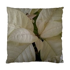 White Pointsettia Standard Cushion Case (one Side) by Riverwoman