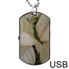 White Pointsettia Dog Tag Usb Flash (one Side) by Riverwoman