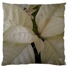 White Pointsettia Large Cushion Case (one Side) by Riverwoman