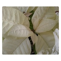 White Pointsettia Double Sided Flano Blanket (small)  by Riverwoman