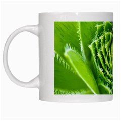 Wurz Houseleek Turmeric Plant White Mugs by Pakrebo