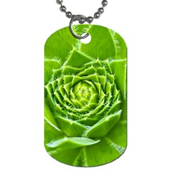 Wurz Houseleek Turmeric Plant Dog Tag (one Side) by Pakrebo