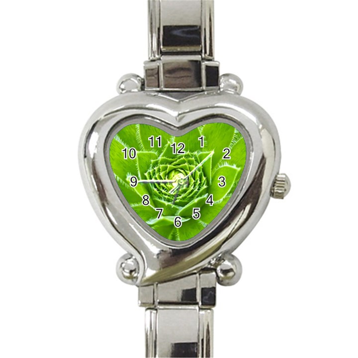 Wurz Houseleek Turmeric Plant Heart Italian Charm Watch