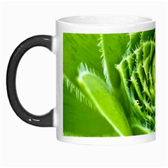 Wurz Houseleek Turmeric Plant Morph Mugs by Pakrebo