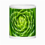 Wurz Houseleek Turmeric Plant Morph Mugs Center