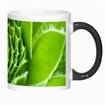 Wurz Houseleek Turmeric Plant Morph Mugs Right