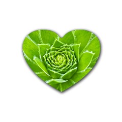 Wurz Houseleek Turmeric Plant Rubber Coaster (heart)  by Pakrebo