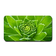 Wurz Houseleek Turmeric Plant Medium Bar Mats by Pakrebo