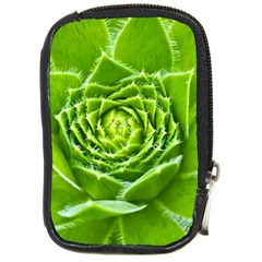 Wurz Houseleek Turmeric Plant Compact Camera Leather Case by Pakrebo