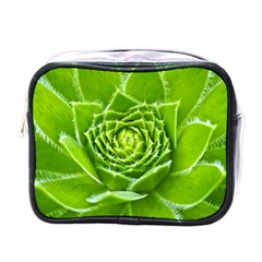 Wurz Houseleek Turmeric Plant Mini Toiletries Bag (one Side)