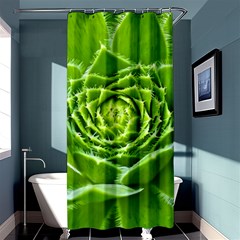 Wurz Houseleek Turmeric Plant Shower Curtain 36  X 72  (stall)  by Pakrebo