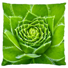 Wurz Houseleek Turmeric Plant Large Cushion Case (one Side) by Pakrebo